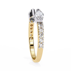 Maggie Diamond Band