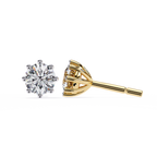 Haley Solitaire Earring