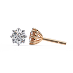 Haley Solitaire Earring