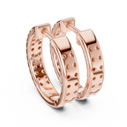 Paislee Diamond Earring