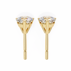 Winter Solitaire Earring
